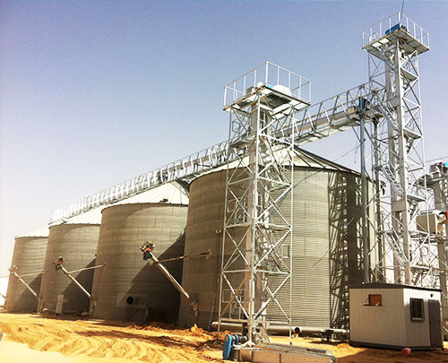 12000 Ton steel silo project in Saudi Arabia